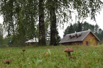 Фото номера Шале Загородные дома Trakų vienkiemis г. Daumilai 3